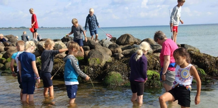 Børn fanger krabber ved havnen