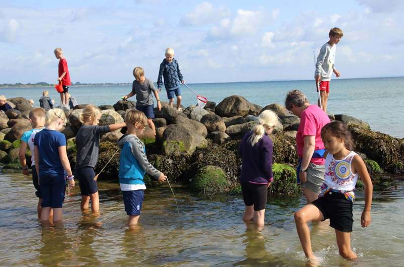 Børn fanger krabber ved havnen